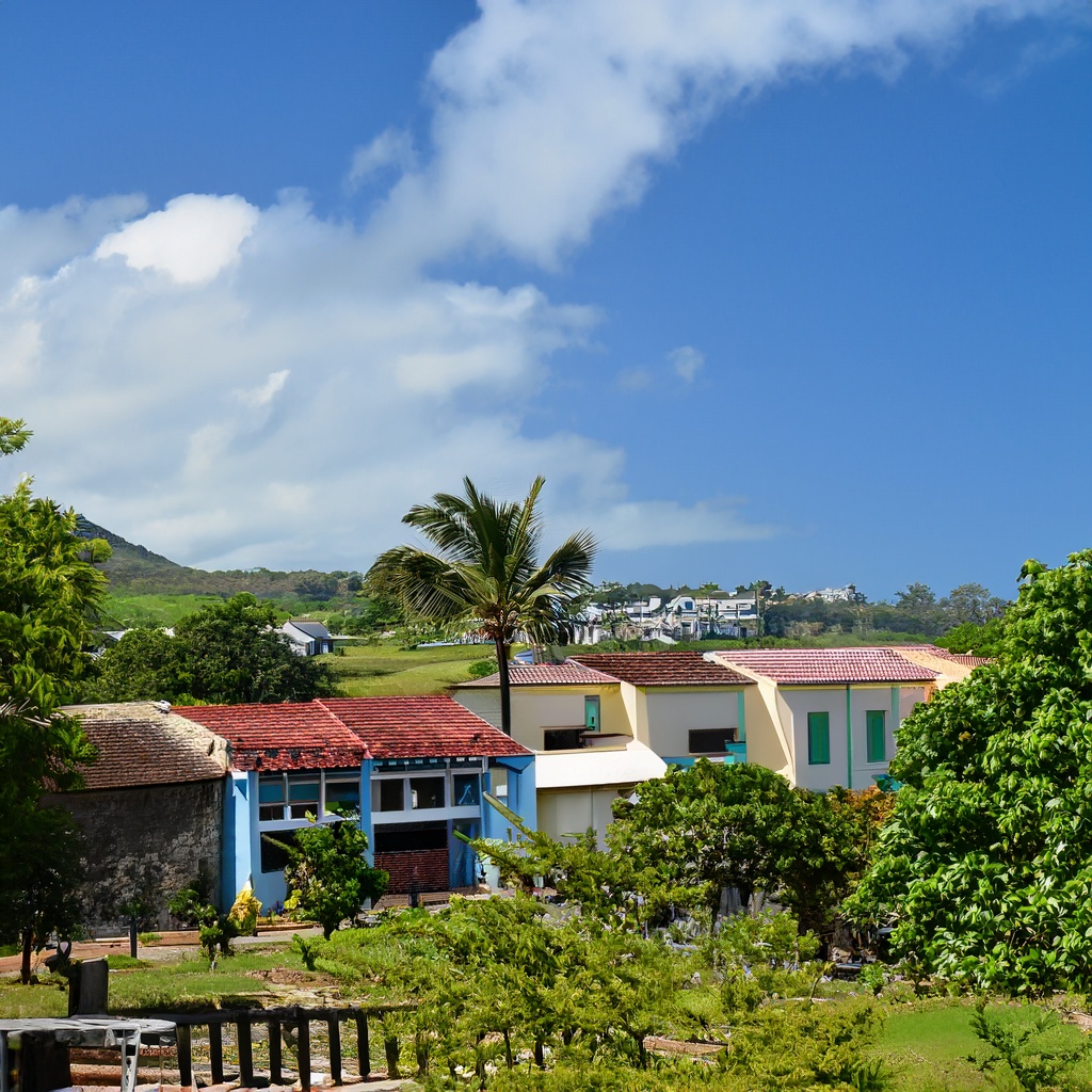 Discover the Enchanting Beauty of Mauritius | New Land Holidays